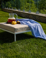 Outdoor setting with a table, pitcher of iced tea, lemons, and a powder blue trentino on a grassy area.